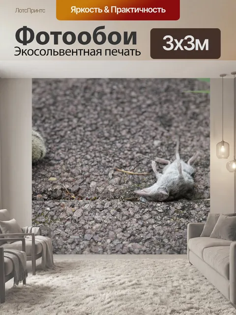Фотообои Хищник