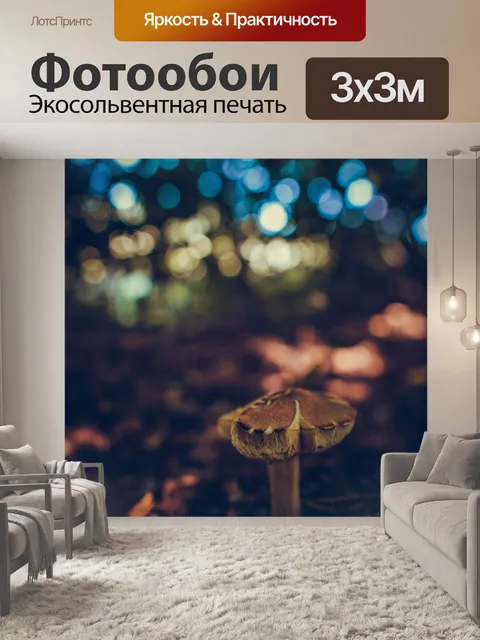 Фотообои Гриб