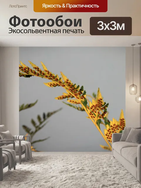 Фотообои спор о листа папоротника