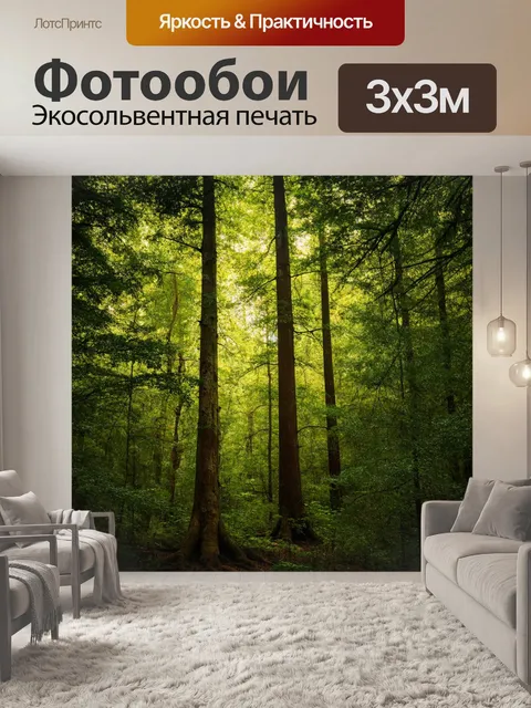 Фотообои дремучий лес с высокими деревьями и мягким светом, пробивающимся сквозь листву