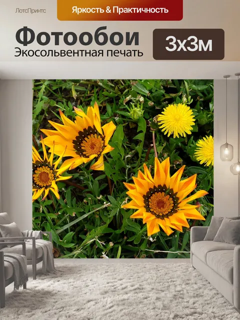 Фотообои Полевые цветы