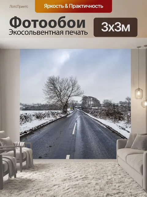 Фотообои Зимняя дорога