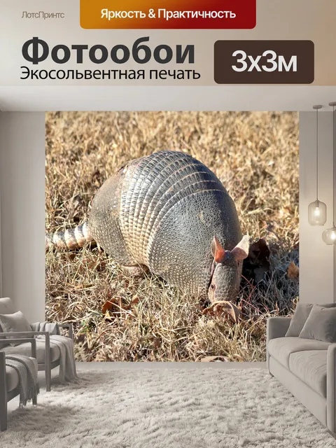 Фотообои Девятиполосный Армадилло в Траве
