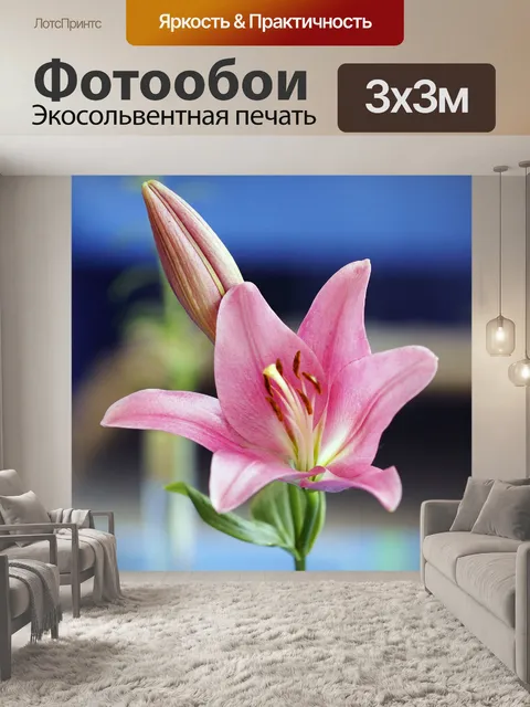 Фотообои Розовая лилия