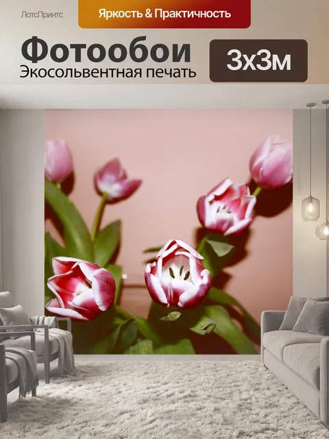 Фотообои Тюльпаны