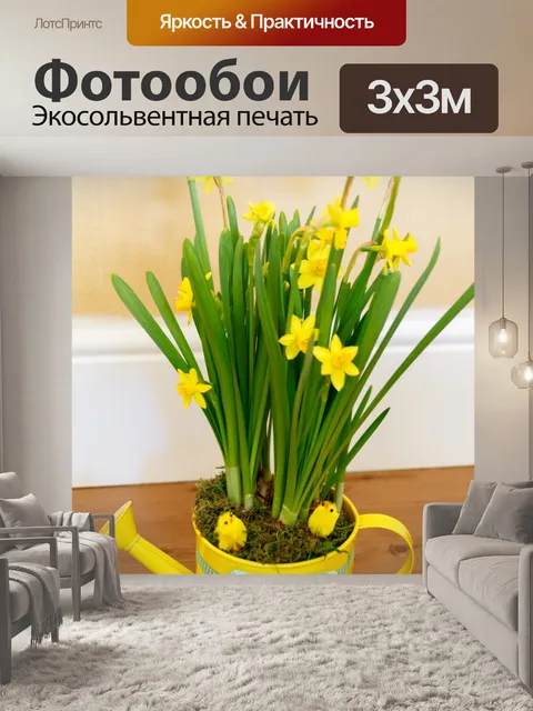 Фотообои Лейкой и нарциссы