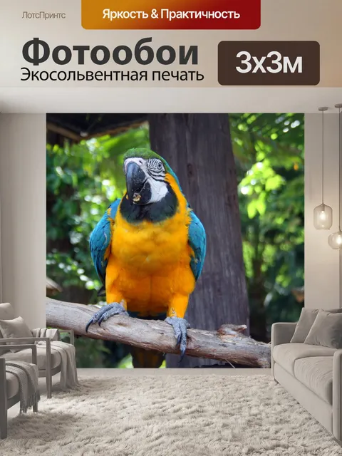 Фотообои желтый и синий ара попугай 2