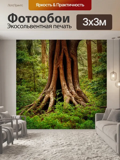 Фотообои с лесом, где старые деревья с массивными узловатыми стволами стоят в окружении мелких растений и ягод