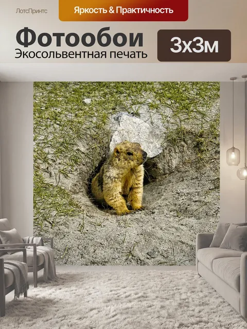 Фотообои Бобр