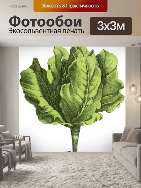 Фотообои Салат кочан винтажного искусства