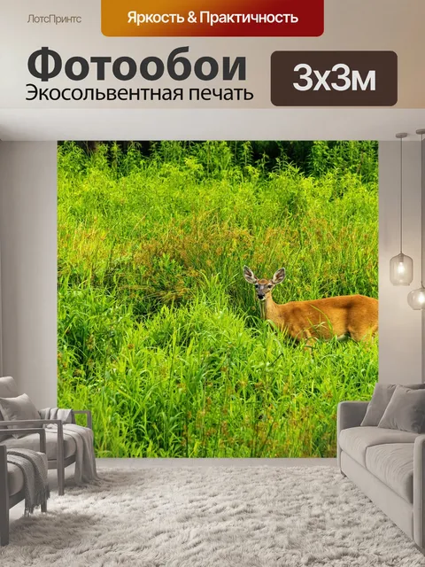 Фотообои Белый хвост оленя