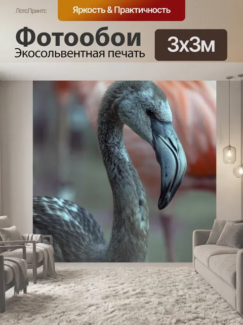 Фотообои Молодой фламинго
