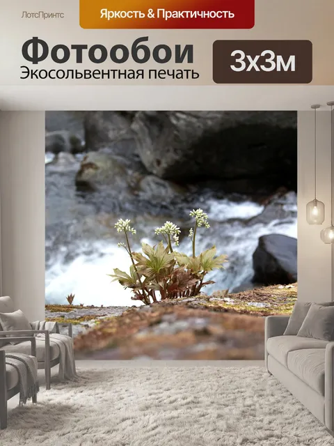 Фотообои Природа