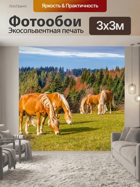 Фотообои Черный лес