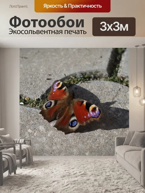 Фотообои Бабочка
