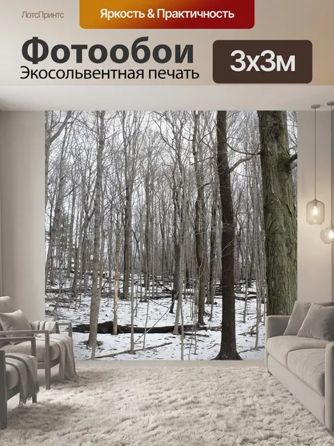 Фотообои Деревья
