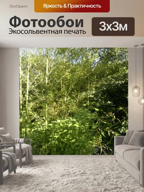 Фотообои Бамбук и растительность