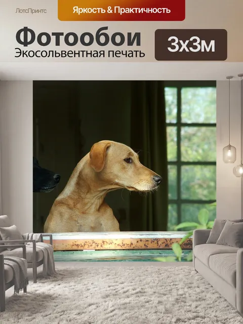 Фотообои Собака
