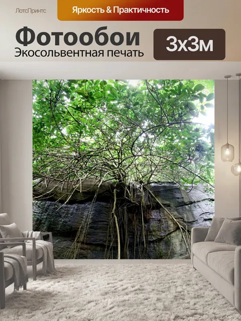 Фотообои Фа Луанг Водопад Лесопарк