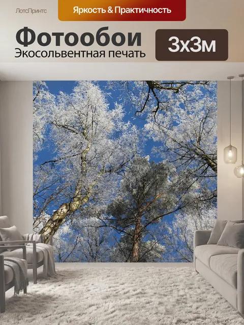 Фотообои Зима