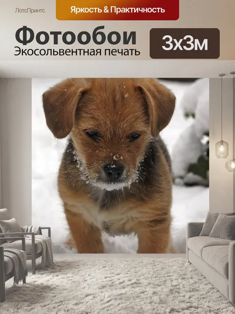 Фотообои Терьер щенок в снегу