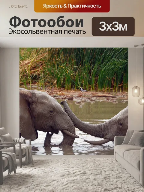 Фотообои Африке