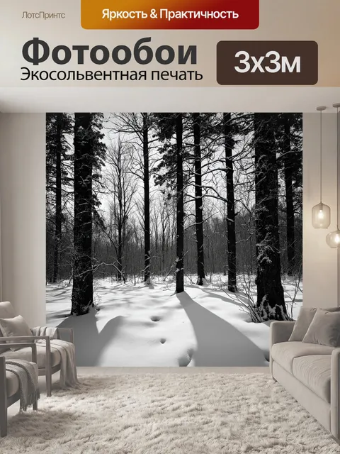 Фотообои черно-белый с изображением холодного и безлюдного зимнего леса