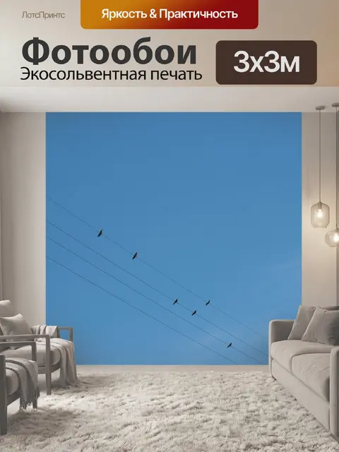 Фотообои Ласточки в небе
