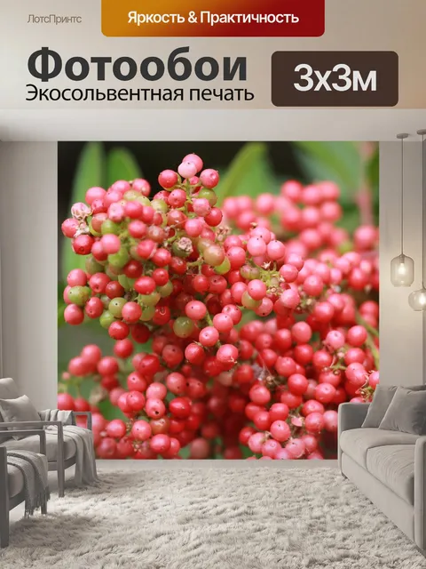 Фотообои Красные ягоды