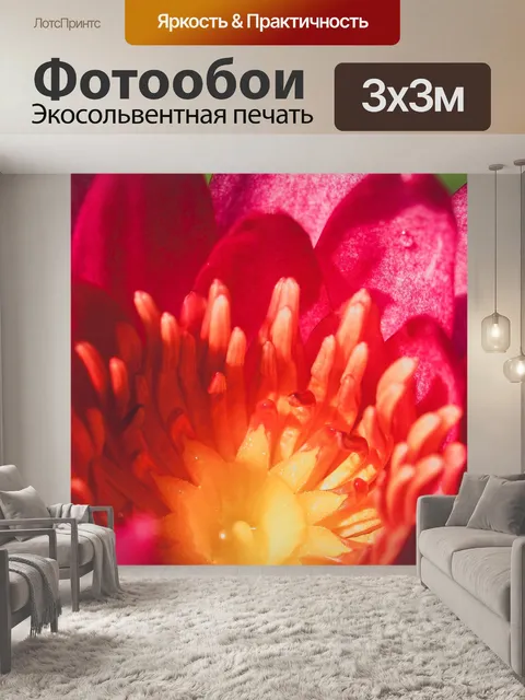Фотообои Цветок лотоса