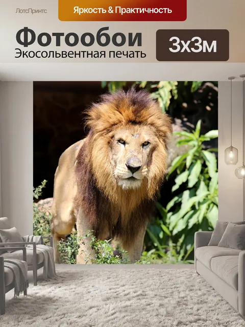 Фотообои Лев