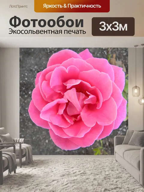 Фотообои Розы