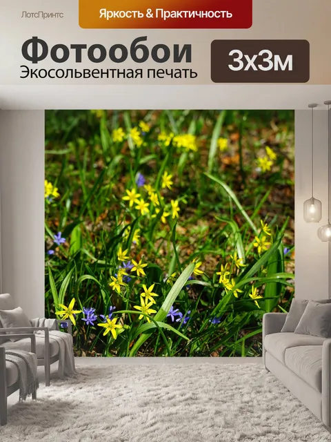 Фотообои Лес желтая звезда