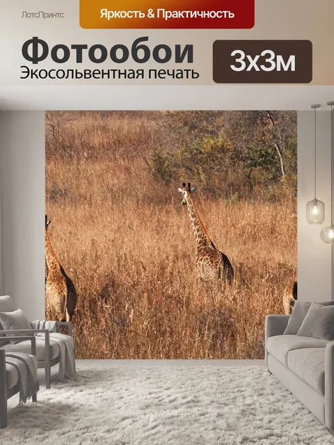 Фотообои группа из четырех жирафов удаляется