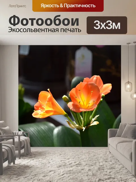 Фотообои Цветущий цветок