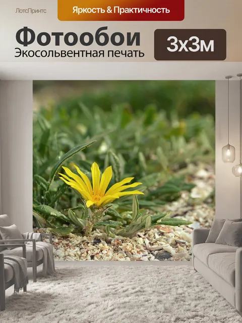 Фотообои Макрос