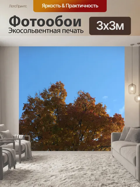 Фотообои оранжевый клен
