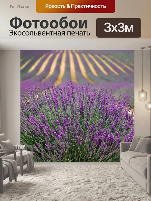 Фотообои Лавандовое поле