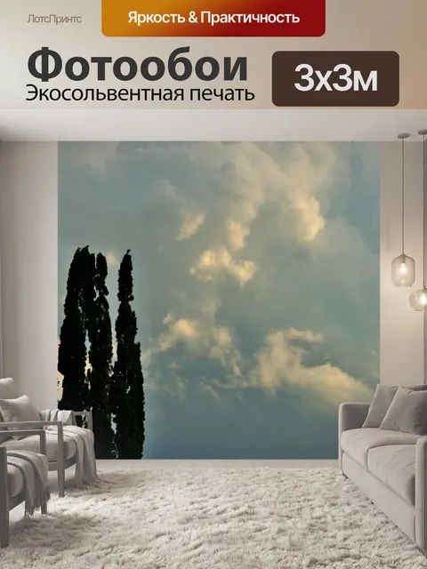 Фотообои Кипарис и мягкий небо