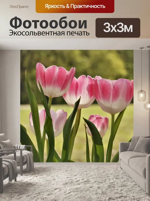 Фотообои Розовые и белые тюльпаны на зеленом