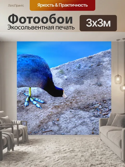 Фотообои Птица