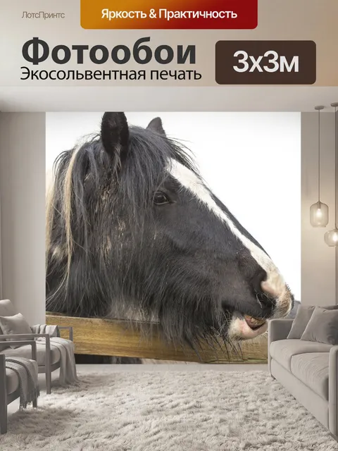 Фотообои лошадь