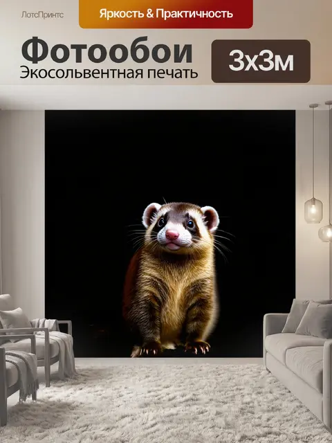 Фотообои хорек в драматическом