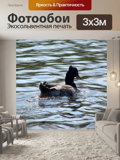 Фотообои Г-н сверкает Duck