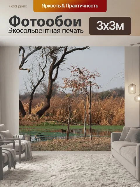 Фотообои вид на бассейн с зелеными водорослями