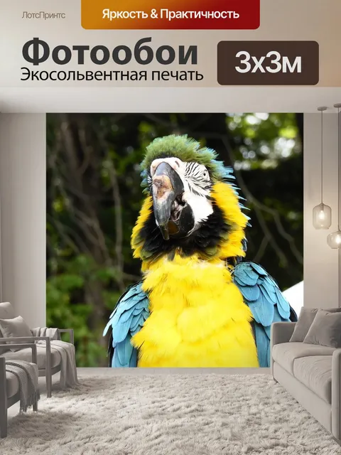 Фотообои Синее золото