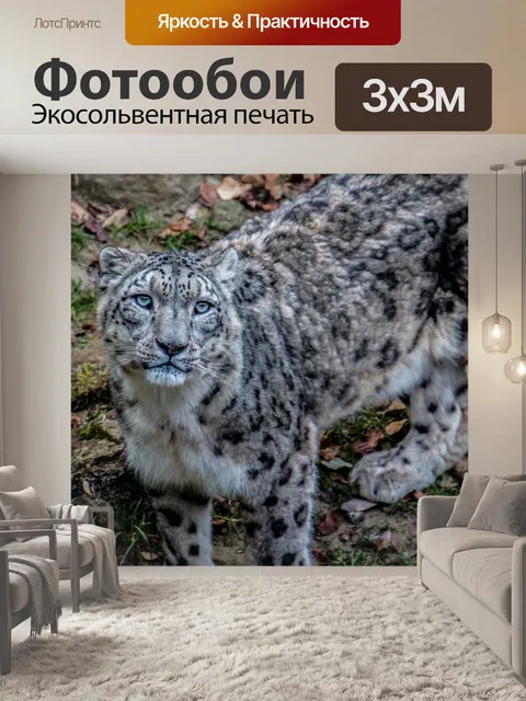 Фотообои Снежный барс