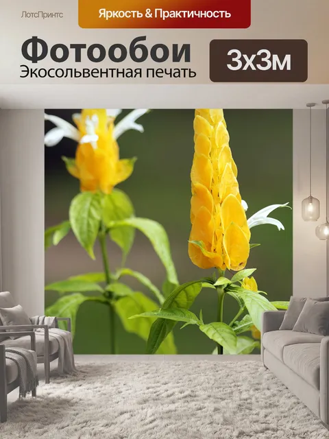 Фотообои Золотые креветки