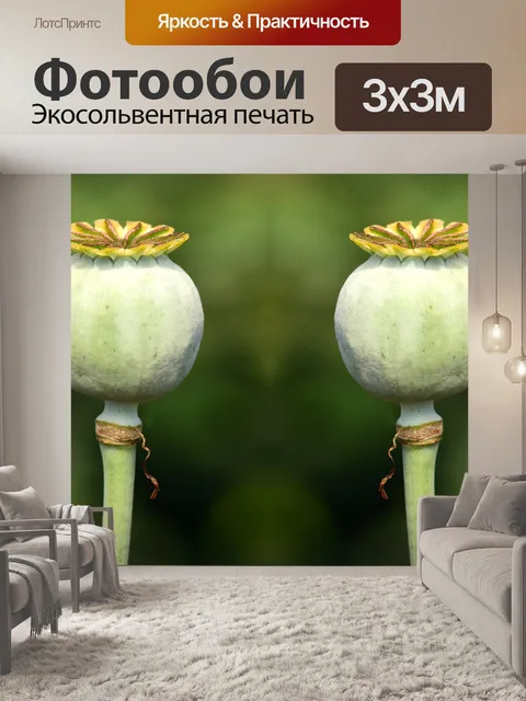 Фотообои Маковые капсулы