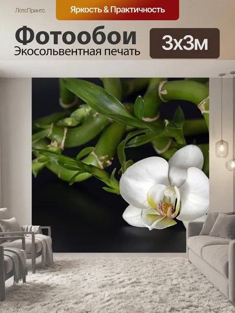 Фотообои Орхидея